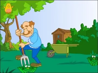 SVT : peut-on planter les choux  la mode de chez nous ?