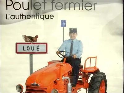 Economie : les poulets de Lou sont-ils  vendre ?