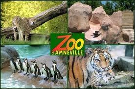Je commence par la ville d'Amnville-les-Thermes, surtout connue pour son zoo ( le Zoo d'Amnville ). Comment appelle-t-on les habitants de cette ville Mosellane ?