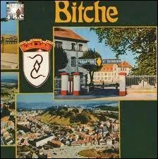 Je vous emmne  Bitche o les habitants se nomment les ...