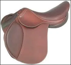 Comment s'appelle cet quipement ?