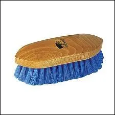 Comment s'appelle cette brosse ?