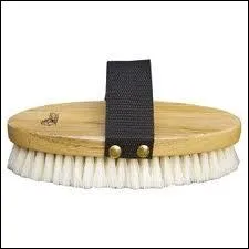 Comment s'appelle cette brosse ?