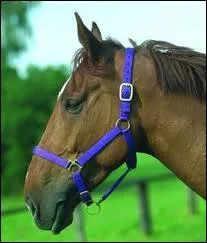 Comment s'appelle cet quipement ?