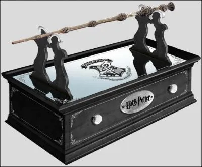 Quel est cet objet ?