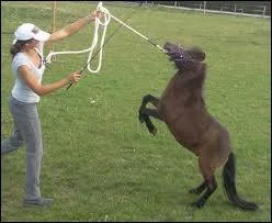 Il est aussi utilis dans les spectacles...