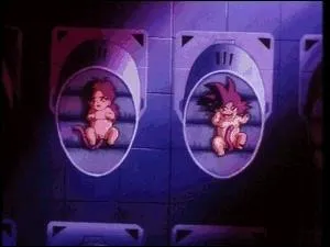 Qui est n  ct de Sangoku ?