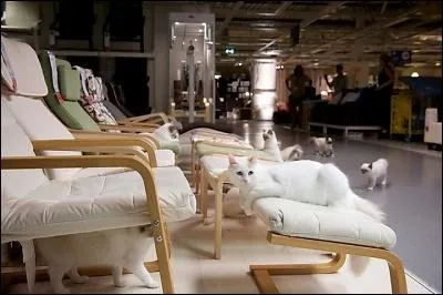 Voici une trs jolie pub, imagine par une grande firme d'ameublement : elle a tent l'exprience...