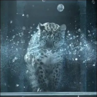 Encore un mini-film mmorable qui est une vraie splendeur ! Je n'en dis pas plus, comme  chaque question, un lien vous mnera au spot. A votre avis, vu le symbole en photo, c'est ?