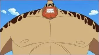 Qui est ce personnage de One Piece ?