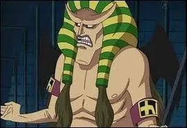 Qui est ce personnage de One Piece ?