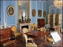 De quel style des annes 1774  1785, est  le salon bleu  que l'on peut admirer au Muse Carnavalet  Paris ?