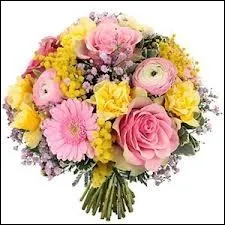 Si vous faites un mauvais score  ce quiz, ...