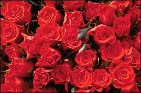 Sentir mauvais, c'est  ne pas sentir la...  