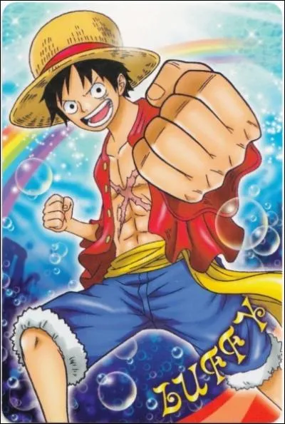 Quel est le type du fruit du dmon mang par Monkey D. Luffy ?