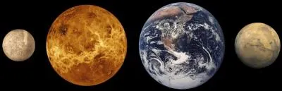 Comment s'appellent ces plantes ?