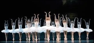 Dans le ballet  Le lac des cygnes  de Tchakovski, le jeune prince qui voit des cygnes se transformer en jeunes femmes s'appelle Sigismond.