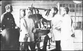 Ce sont les chats qui ont permis  Ivan Pavlov de dcouvrir les rflexes conditionns.