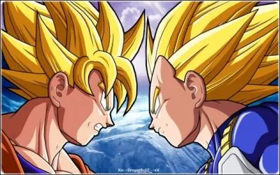 Dans la saga Buu, qui a gagn le combat Sangoku vs Vegeta ?