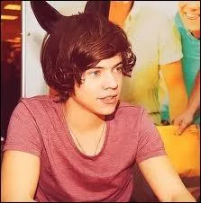 Harry prfrait quelles matires ?