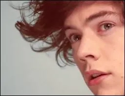 Il parle un peu franais et ...