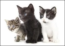 Il est toujours issu d'une...