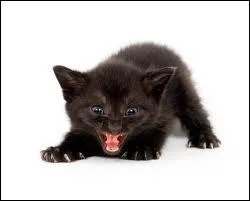 Et  certains moments, il peut se montrer...