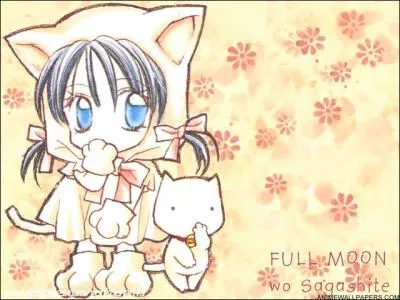 Que devient Mitsuki ?