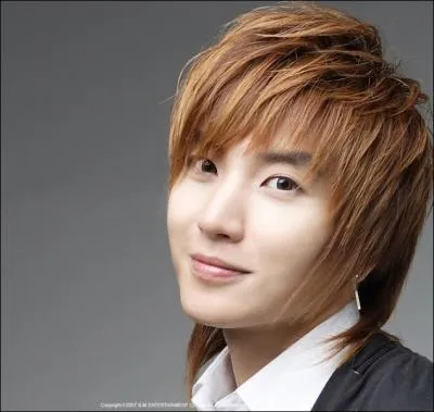 Qui est le leader des Su Ju ?