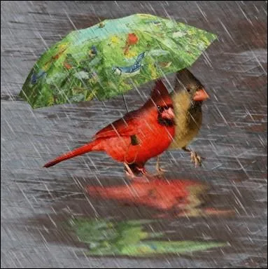 Quelle expression dsigne ce que font les pleutres quand ils sont incapables d'assumer leurs erreurs, ou bien leurs responsabilits ?