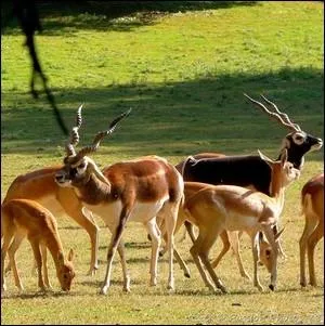 Laquelle de ces affirmations est vraie ?