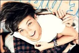 Quels sont les 2 groupes prfrs de Louis Tomlinson ?