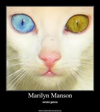 Quelle dichotomie, inhrente  l'tre humain, a inspir la toute particulire composition du nom des membres du groupe, jusqu'au remplacement de T. Ramrez par Tim Skld en 2003 ?