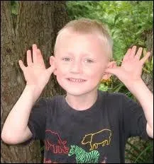 Celui qui est malicieux et vif . .