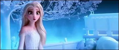 Elsa a découvert dans la rivière de glace les vérités sur le passé. Laquelle de ces affirmations n'est pas la vérité ?