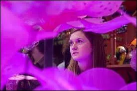 O elle et Hermione sont-elles ?