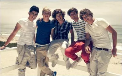 Quel groupe chante  Wat make you beautiful  ?