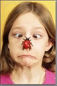 Si votre voisine louche : elle est atteinte d'un dfaut de paralllisme des 2 axes de vision. Comment s'appelle cette anomalie ?