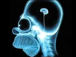 Aprs son opration dans l'pisode  Le cerveau , quel est le QI d'Homer ?