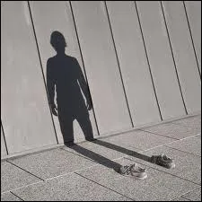 Faire n'importe quoi, c'est marcher  ct de ses --------