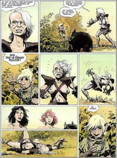 De quelle oeuvre scnarise par Jean Van Hamme cette planche est-elle tire ?