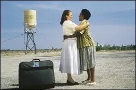 Quel film allemand, oscaris en 1989, se droule dans une zone dsertique longeant la clbre Route 66 aux Etats Unis ?