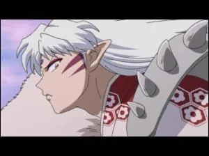 la fin de la srie, que dit Kagome  Sesshomaru ? 