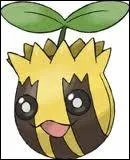 Quel est ce pokmon ?