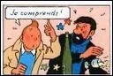 Tintin cherche  comprendre les diffrentes zones d'ombre d'une nigme, le capitaine cherche simplement  boire un coup d'un dlicieux vin blanc.
