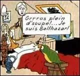 Un perroquet retrouve la cl d'une nigme sur la mort d'un homme.