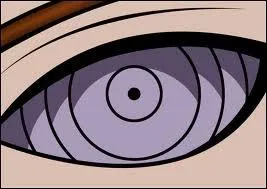  qui appartient cette pupille ?