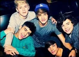 Dans quels pays n'y aura-t-il qu'un seul concert ?