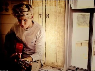 Comment s'appelle le frre de Niall ?