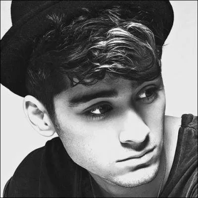 Comment s'appelle la grande soeur de Zayn ?